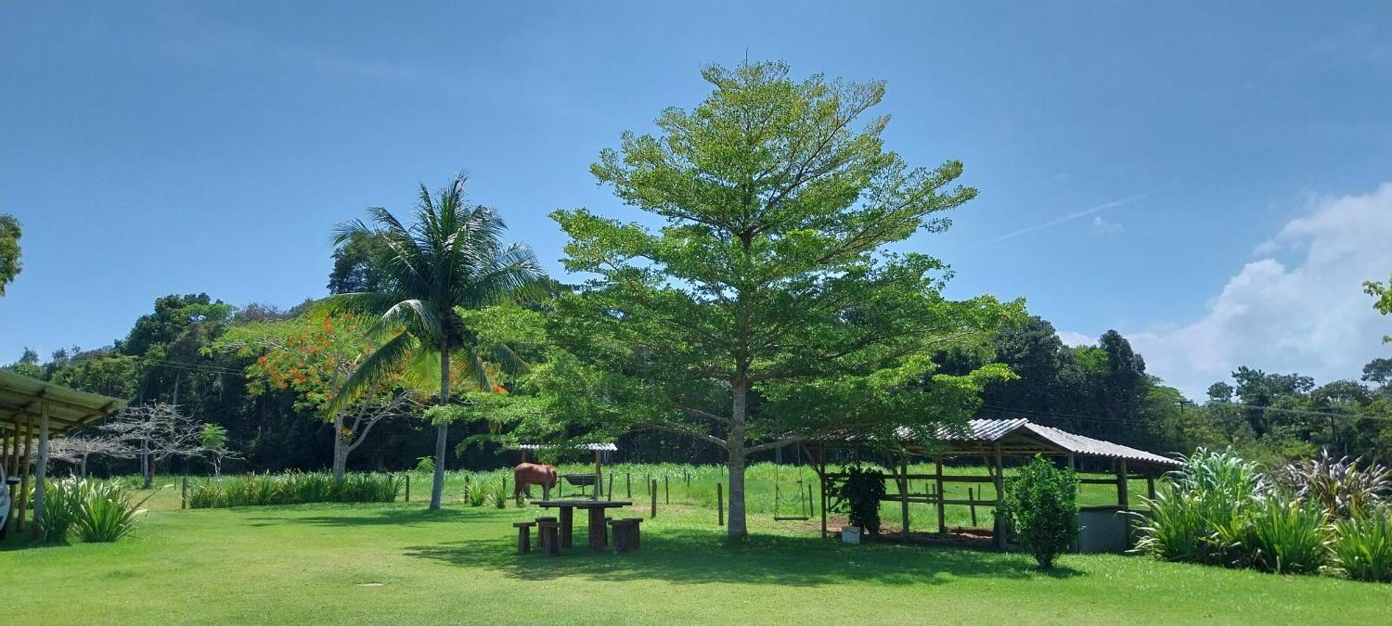Pousada Rancho Semani Itacaré المظهر الخارجي الصورة